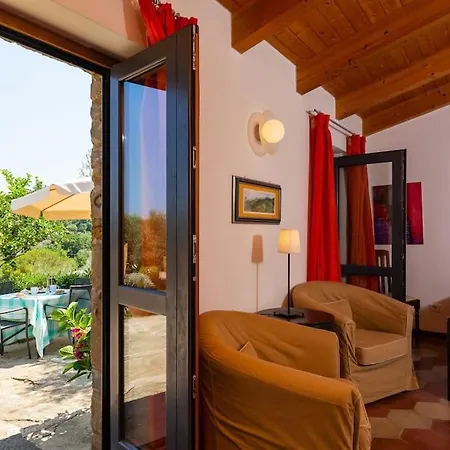 別荘 Tiny-house Im Olivenhain - 1km Zum Strand- Cilentissimo *