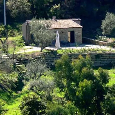 Tiny-house Im Olivenhain - 1km Zum Strand- Cilentissimo 別荘